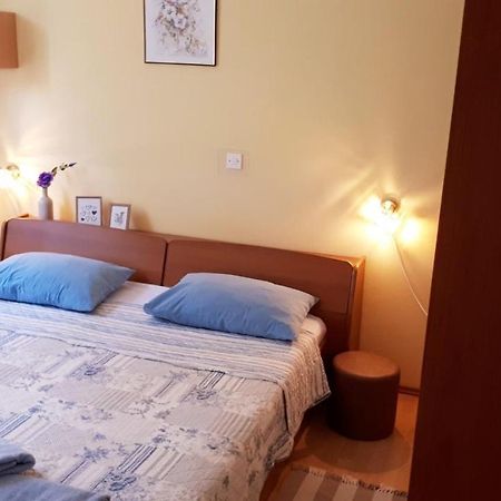 Apartment Neda Z-Velika Okucnica, Besplatni Parking I Opticki Wi-Fi Labin  Extérieur photo