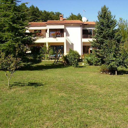 Apartment Neda Z-Velika Okucnica, Besplatni Parking I Opticki Wi-Fi Labin  Chambre photo